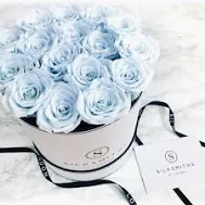 Brian Englander Philadelphia, PA Death-Obituary